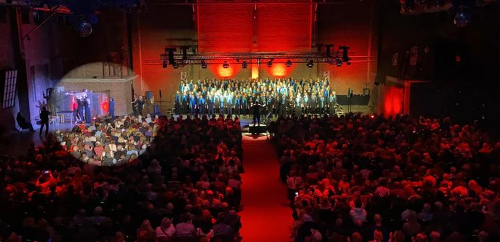 Rotes Krokodil MG 2025